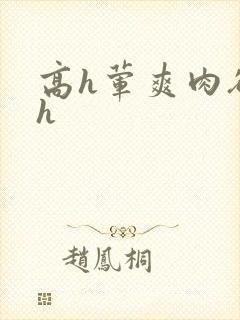 高h荤爽肉欲文h