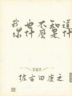 我也不知道我爱你什么是什么歌