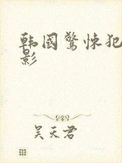 韩国惊悚犯罪电影