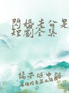 闪婚老公是豪门短剧全集