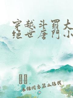 穿越斗罗大陆2绝世唐门小说