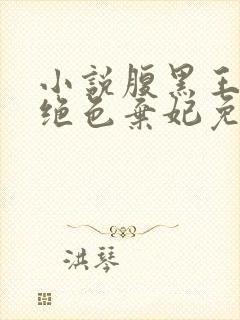 小说腹黑王爷的绝色弃妃免费阅读