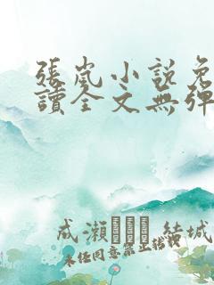 张岚小说免费阅读全文无弹窗