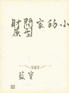 财阀家的小儿子原型