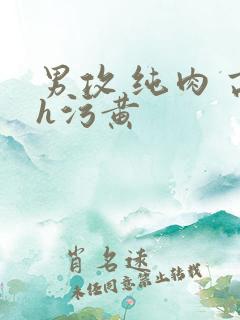 男攻 纯肉 高h污黄