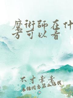 魔术师在什么地方可以看