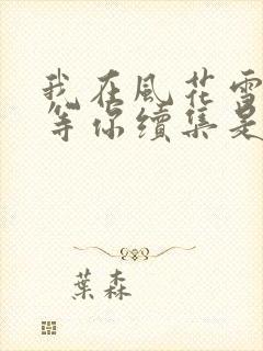 我在风花雪月里等你续集是哪一本