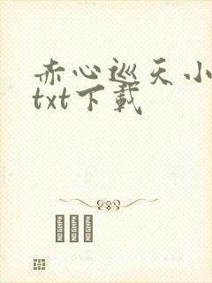 赤心巡天小说 txt下载