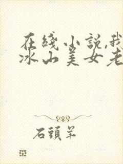 在线小说,我的冰山美女老婆