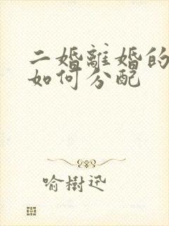 二婚离婚的财产如何分配