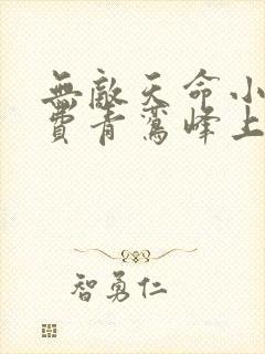 无敌天命小说免费青鸾峰上