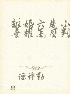 离婚六岁小孩抚养权怎么判