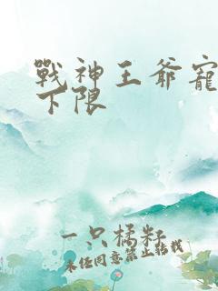 战神王爷宠妃无下限