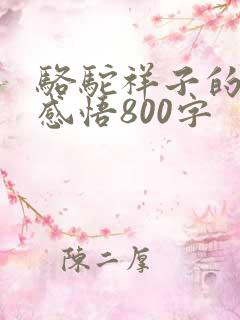 骆驼祥子的阅读感悟800字