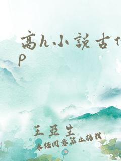 高h小说古代np