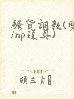 骚货调教(双性/np道具)