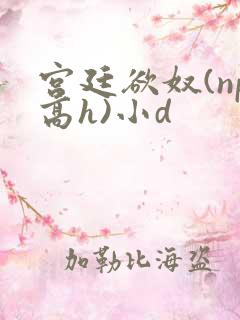 宫廷欲奴(np高h)小d
