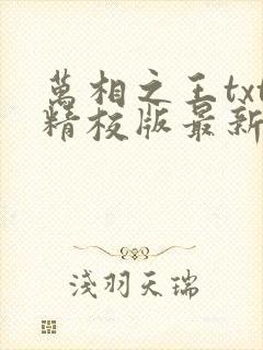 万相之王txt精校版最新章节