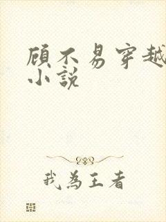 顾不易穿越大明小说