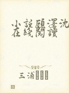 小说顾泽沈清音在线阅读