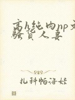 高h纯肉np文骚货人妻