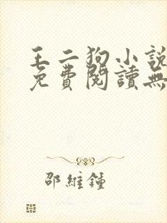 王二狗小说全文免费阅读无弹窗