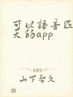 可以语音匹配聊天的app