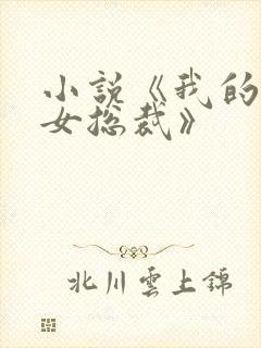 小说《我的高冷女总裁》