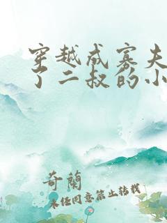 穿越成寡夫郎娶了二叔的小说