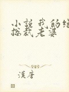 小说 我的绝色总裁老婆