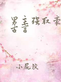 男主强取豪夺的古言