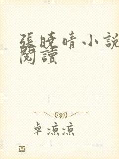 张晓晴小说在线阅读