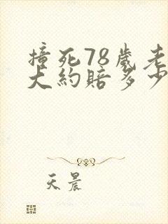 撞死78岁老人大约赔多少钱