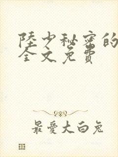 陆少秘密的恋人全文免费