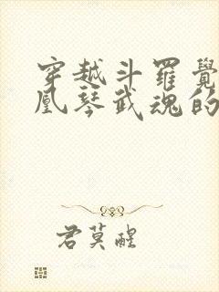 穿越斗罗觉醒凤凰琴武魂的小说