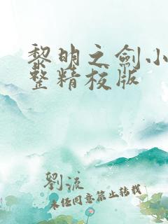 黎明之剑小说完整精校版