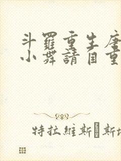 斗罗重生唐舞麟小舞请自重小说