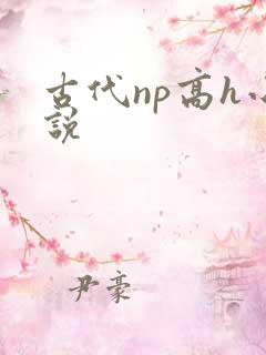 古代np高h小说