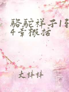 骆驼祥子1到24章概括