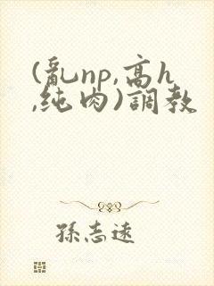 (乱np,高h,纯肉)调教