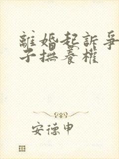 离婚起诉争夺孩子抚养权