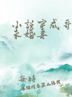 小说穿成哥哥的未婚妻