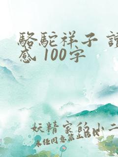 骆驼祥子 读后感 100字