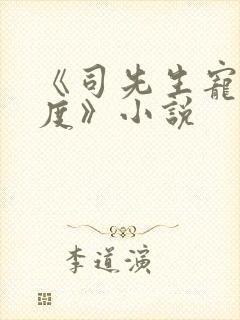 《司先生宠妻无度》小说