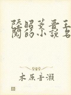 陆昭菱晋王周时阅的小说名