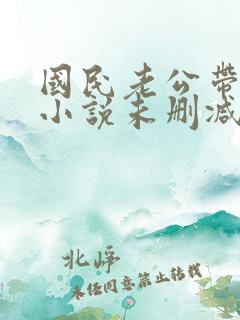 国民老公带回家小说未删减