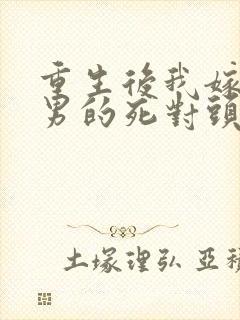 重生后我嫁给渣男的死对头