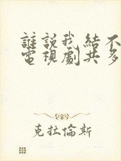 谁说我结不了婚电视剧共多少集