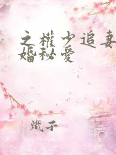 之权少追妻,盛婚秘爱