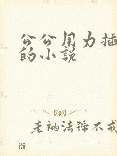 公公用力插儿媳的小说